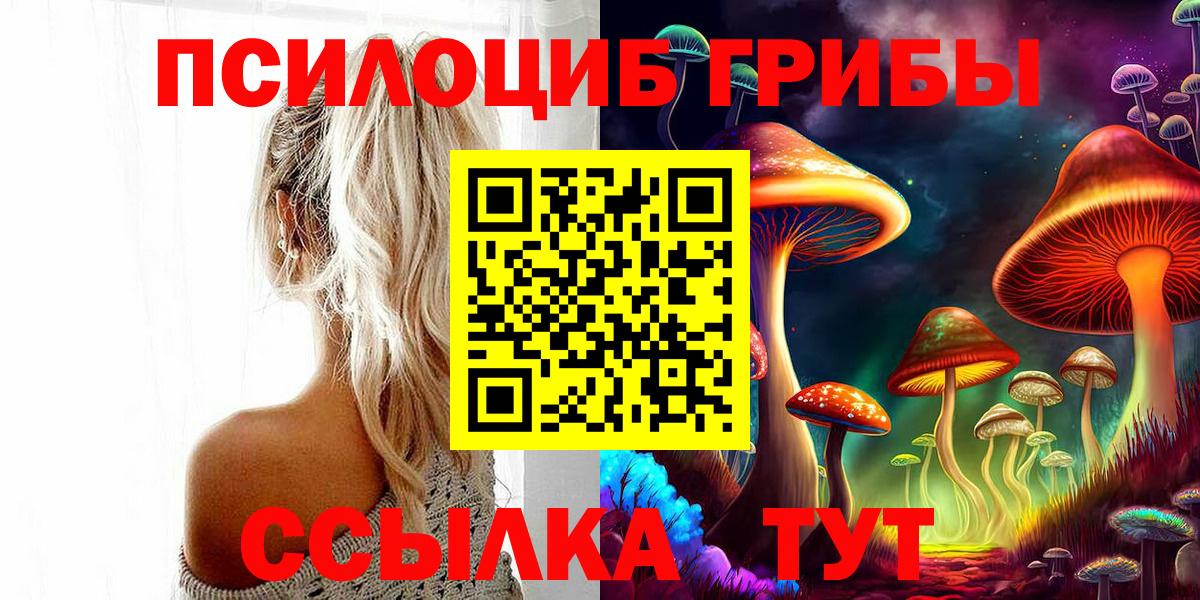 Псилоцибиновые грибы мухоморы Карачаевск