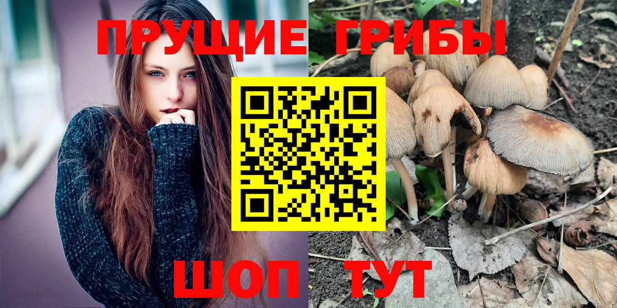 Галлюциногенные грибы мухоморы  Галлюциногенные грибы Cubensis  Вход с VPN  Карачаевск 